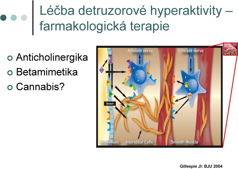 terapie Anticholinergika