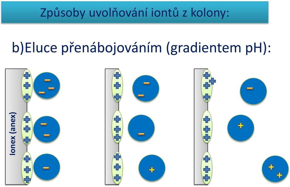 (gradientem ph): ŠIMAN, Pavel.