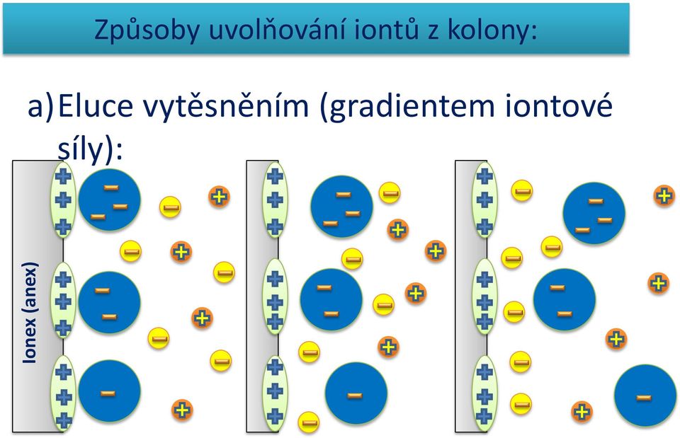 iontové síly): ŠIMAN, Pavel.