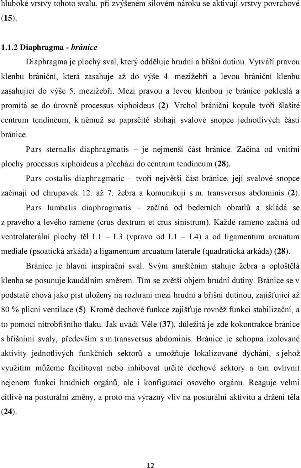 Vrchol brániční kopule tvoří šlašité centrum tendineum, k němuž se paprsčitě sbíhají svalové snopce jednotlivých částí bránice. Pars sternalis diaphragmatis je nejmenší část bránice.