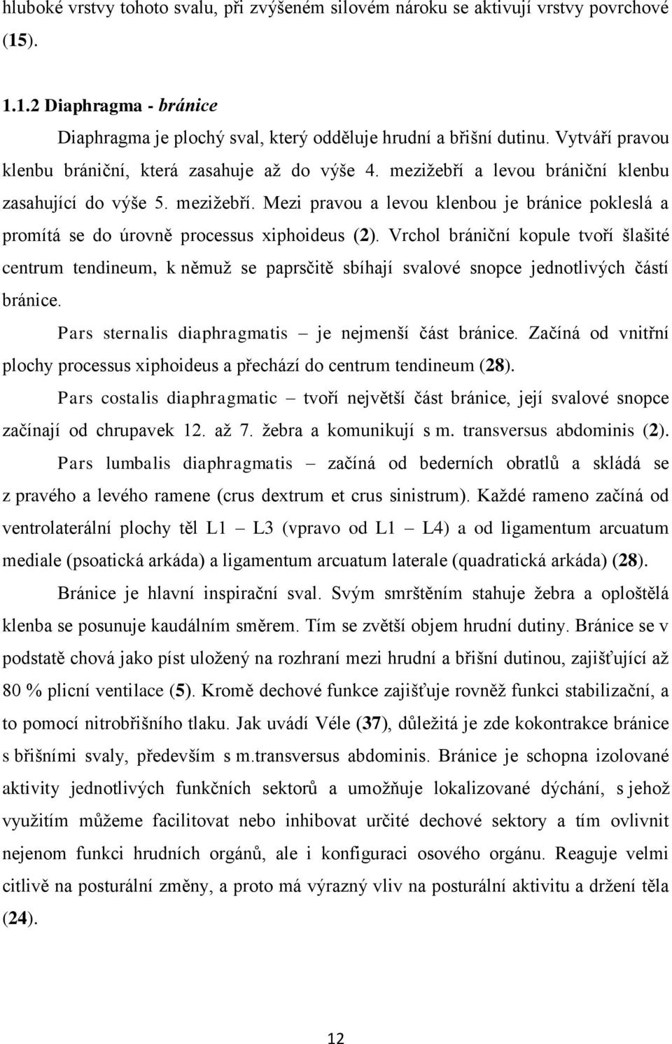 Vrchol brániční kopule tvoří šlašité centrum tendineum, k němuž se paprsčitě sbíhají svalové snopce jednotlivých částí bránice. Pars sternalis diaphragmatis je nejmenší část bránice.