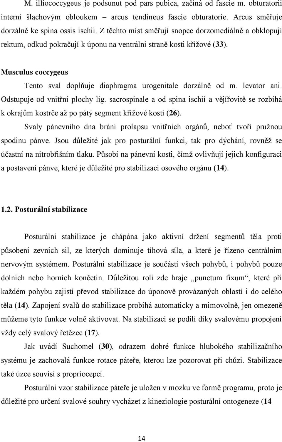 Musculus coccygeus Tento sval doplňuje diaphragma urogenitale dorzálně od m. levator ani. Odstupuje od vnitřní plochy lig.