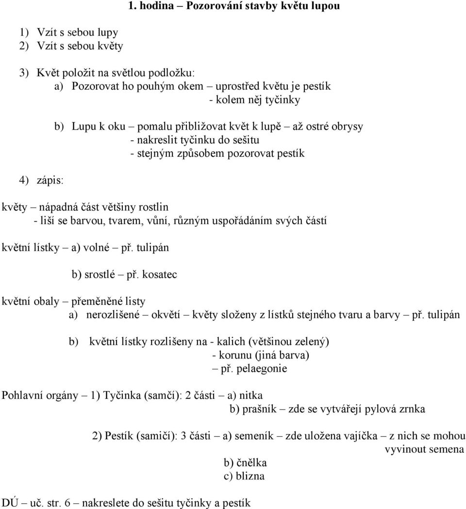 vůní, různým uspořádáním svých částí květní lístky a) volné př. tulipán b) srostlé př. kosatec květní obaly přeměněné listy a) nerozlišené okvětí květy složeny z lístků stejného tvaru a barvy př.