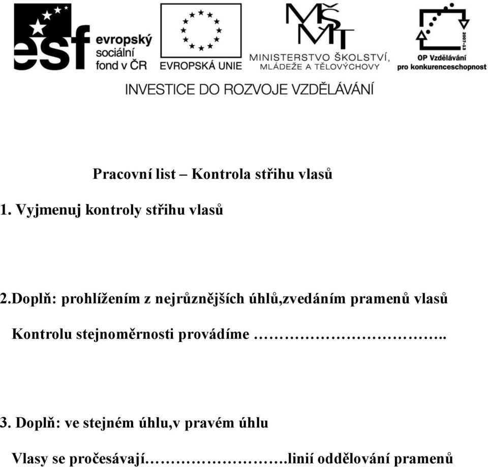 Doplň: prohlížením z nejrůznějších úhlů,zvedáním pramenů vlasů