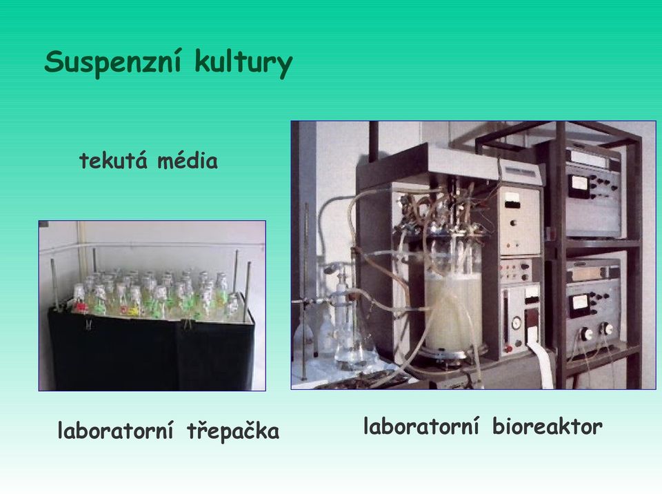 laboratorní