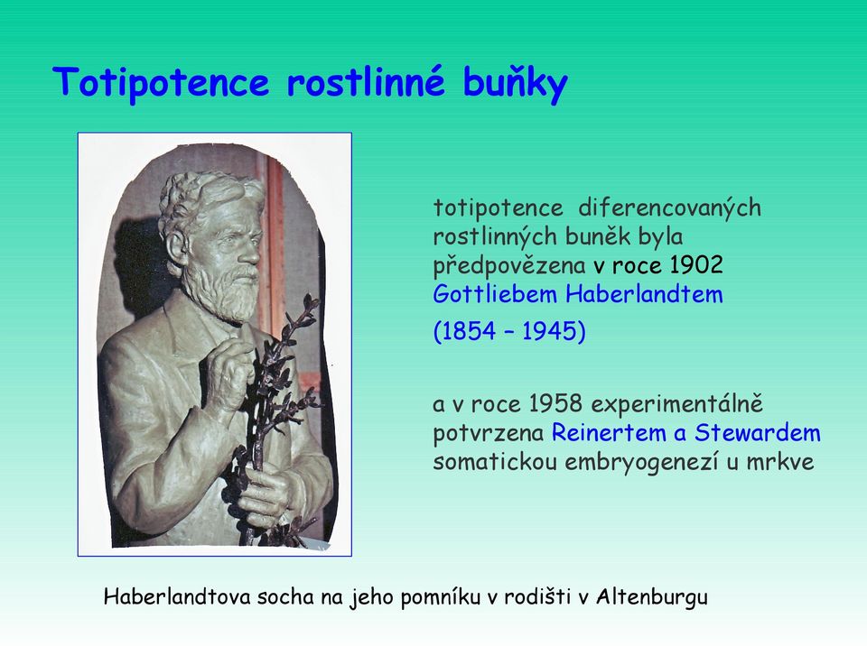 a v roce 1958 experimentálně potvrzena Reinertem a Stewardem somatickou