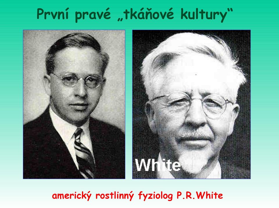 americký