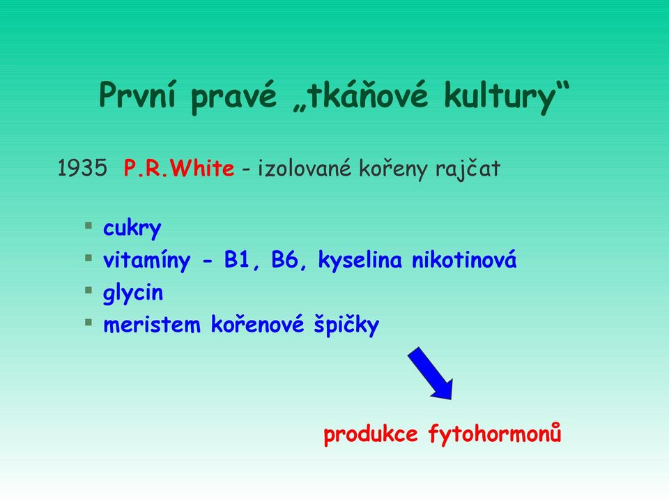 vitamíny - B1, B6, kyselina nikotinová