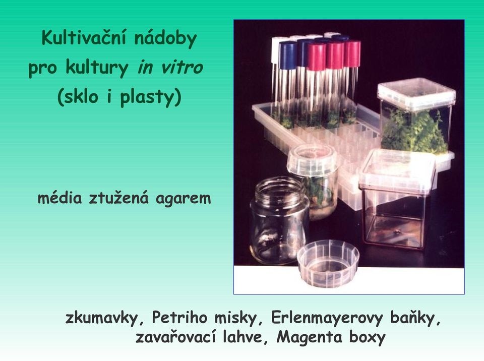 agarem zkumavky, Petriho misky,