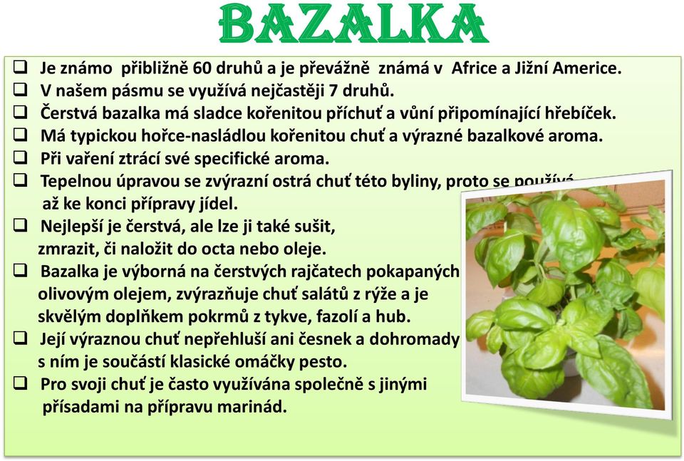 Tepelnou úpravou se zvýrazní ostrá chuť této byliny, proto se používá až ke konci přípravy jídel. Nejlepší je čerstvá, ale lze ji také sušit, zmrazit, či naložit do octa nebo oleje.