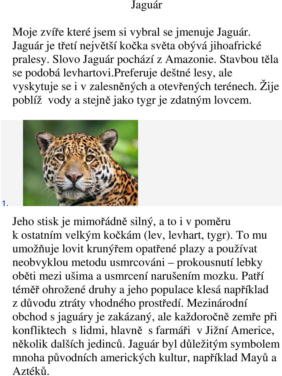 Jeho stisk je mimořádně silný, a to i v poměru k ostatním velkým kočkám (lev, levhart, tygr).