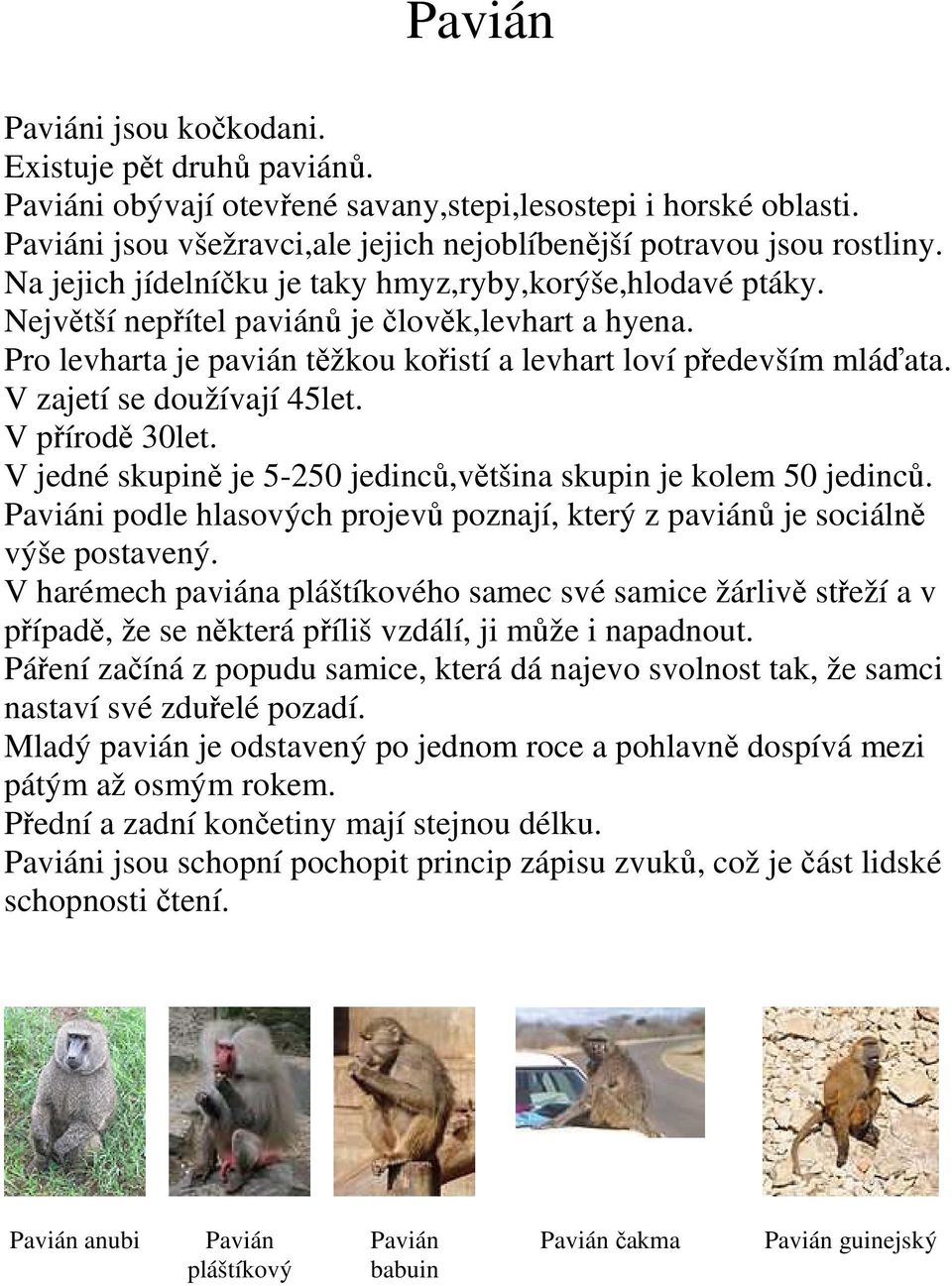 V zajetí se doužívají 45let. V přírodě 30let. V jedné skupině je 5-250 jedinců,většina skupin je kolem 50 jedinců. Paviáni podle hlasových projevů poznají, který z paviánů je sociálně výše postavený.