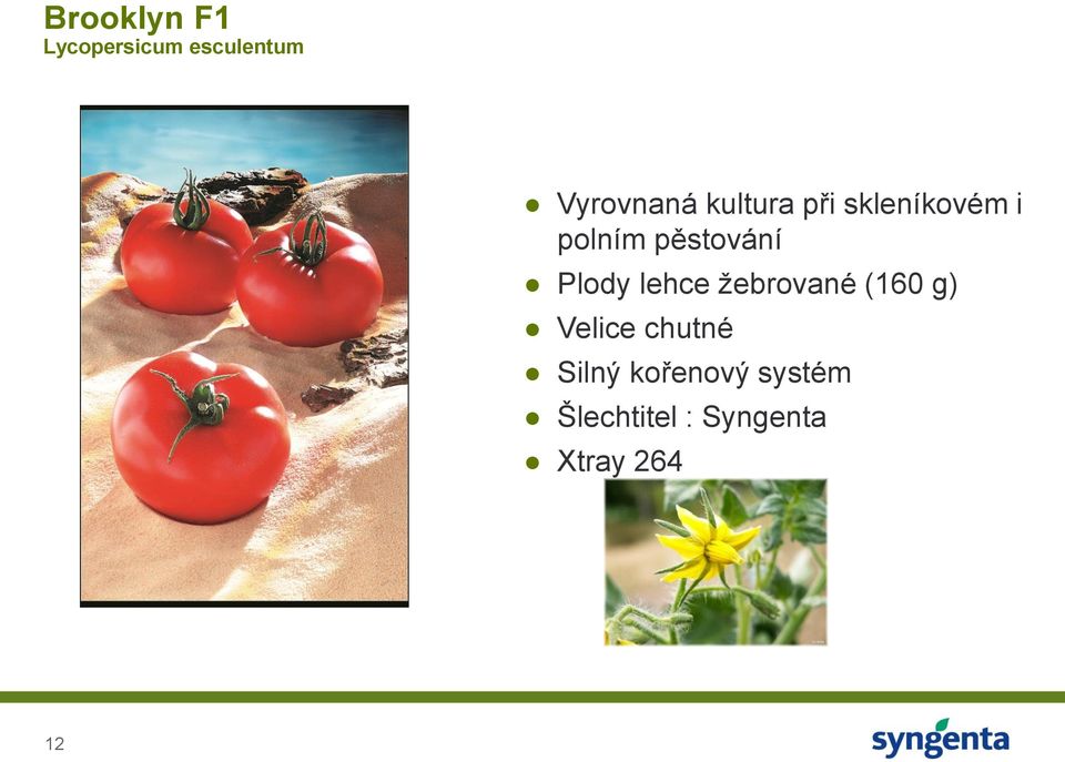 Plody lehce žebrované (160 g) Velice chutné