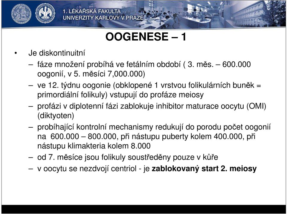 inhibitor maturace oocytu (OMI) (diktyoten) probíhající kontrolní mechanismy redukují do porodu počet oogonií na 600.000 800.