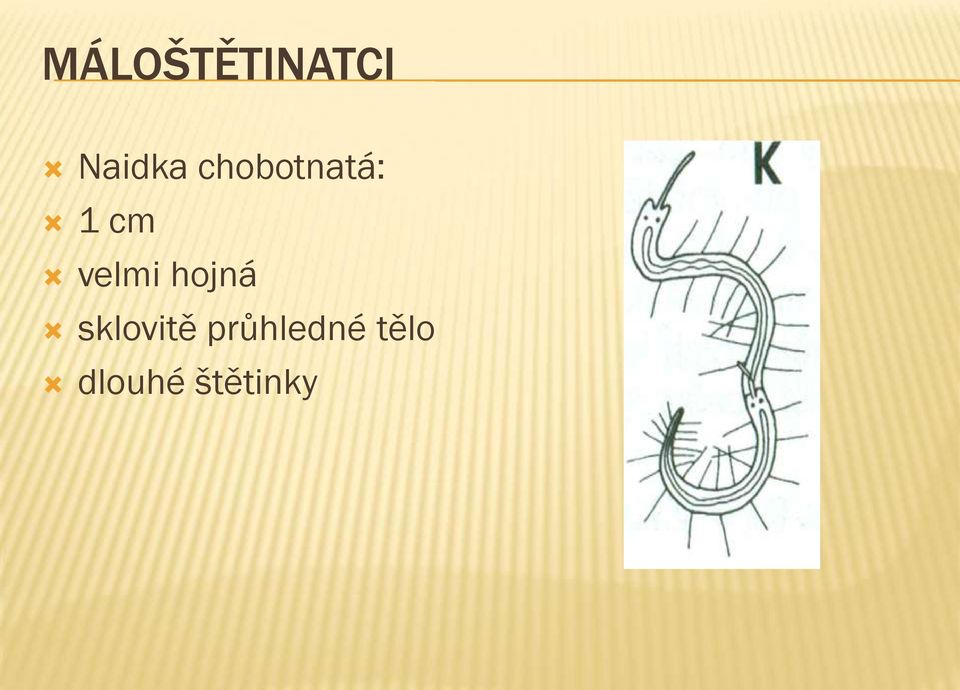 hojná sklovitě