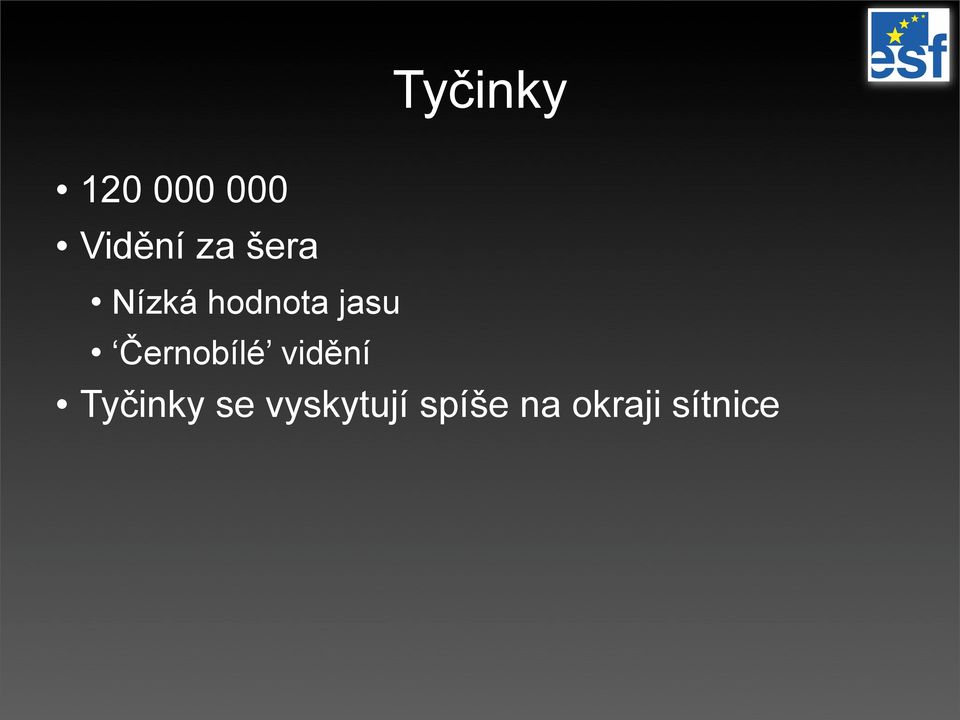 Černobílé vidění Tyčinky se