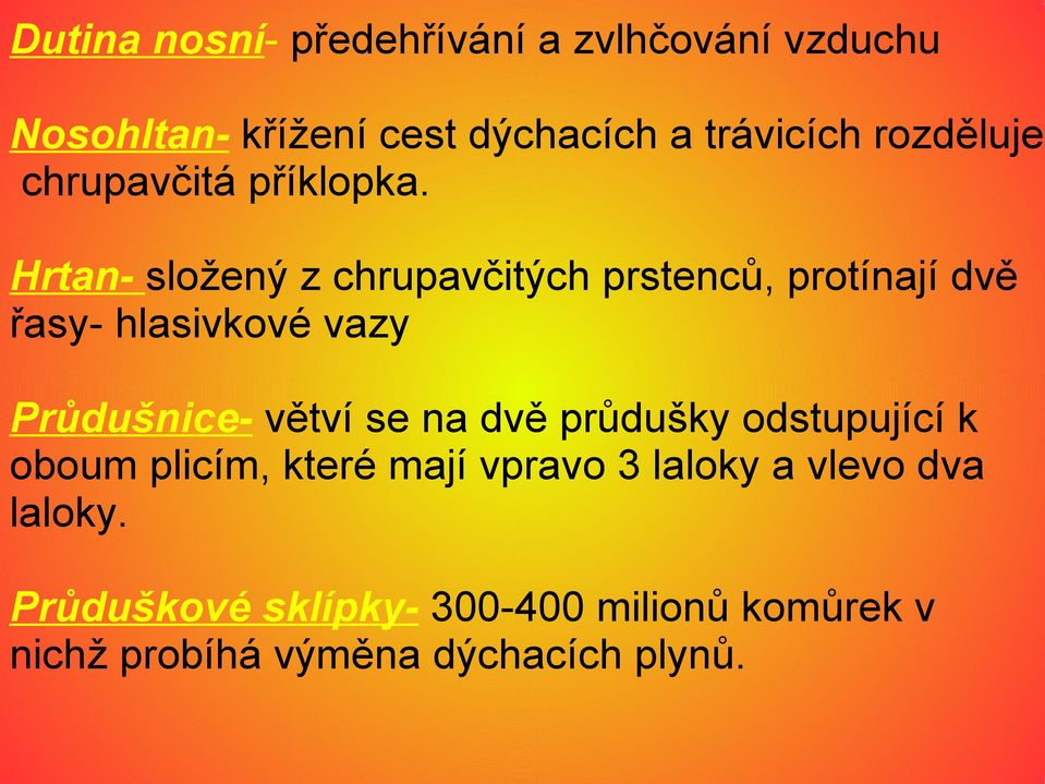 Hrtan- složený z chrupavčitých prstenců, protínají dvě řasy- hlasivkové vazy Průdušnice- větví se