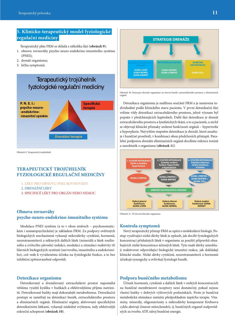 DRENÁŽ VYLUČOVACÍCH ORGÁNŮ GUNA-LIVER GUNA-BOWEL GUNA-KIDNEY STRATEGIE DRENÁŽE DETOXIFIKACE MATRIX GUNA-MATRIX GUNA-LYMPHO BUNĚČNÁ DETOXIFIKACE GUNA-CELL Obrázek 10.