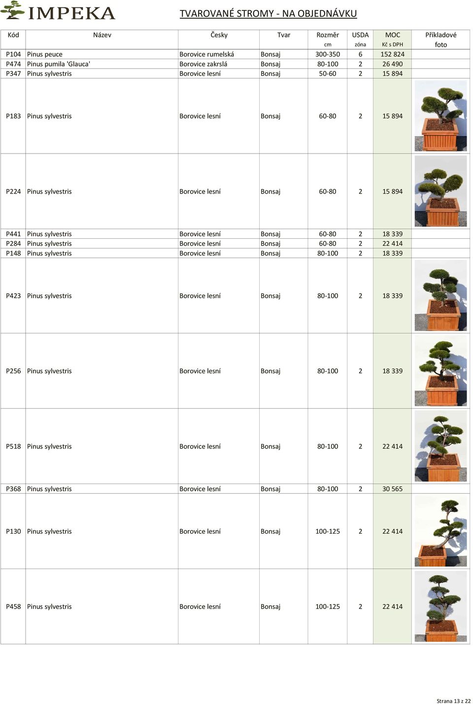 lesní Bonsaj 60-80 2 22414 P148 Pinus sylvestris Borovice lesní Bonsaj 80-100 2 18339 P423 Pinus sylvestris Borovice lesní Bonsaj 80-100 2 18 339 P256 Pinus sylvestris Borovice lesní Bonsaj 80-100 2