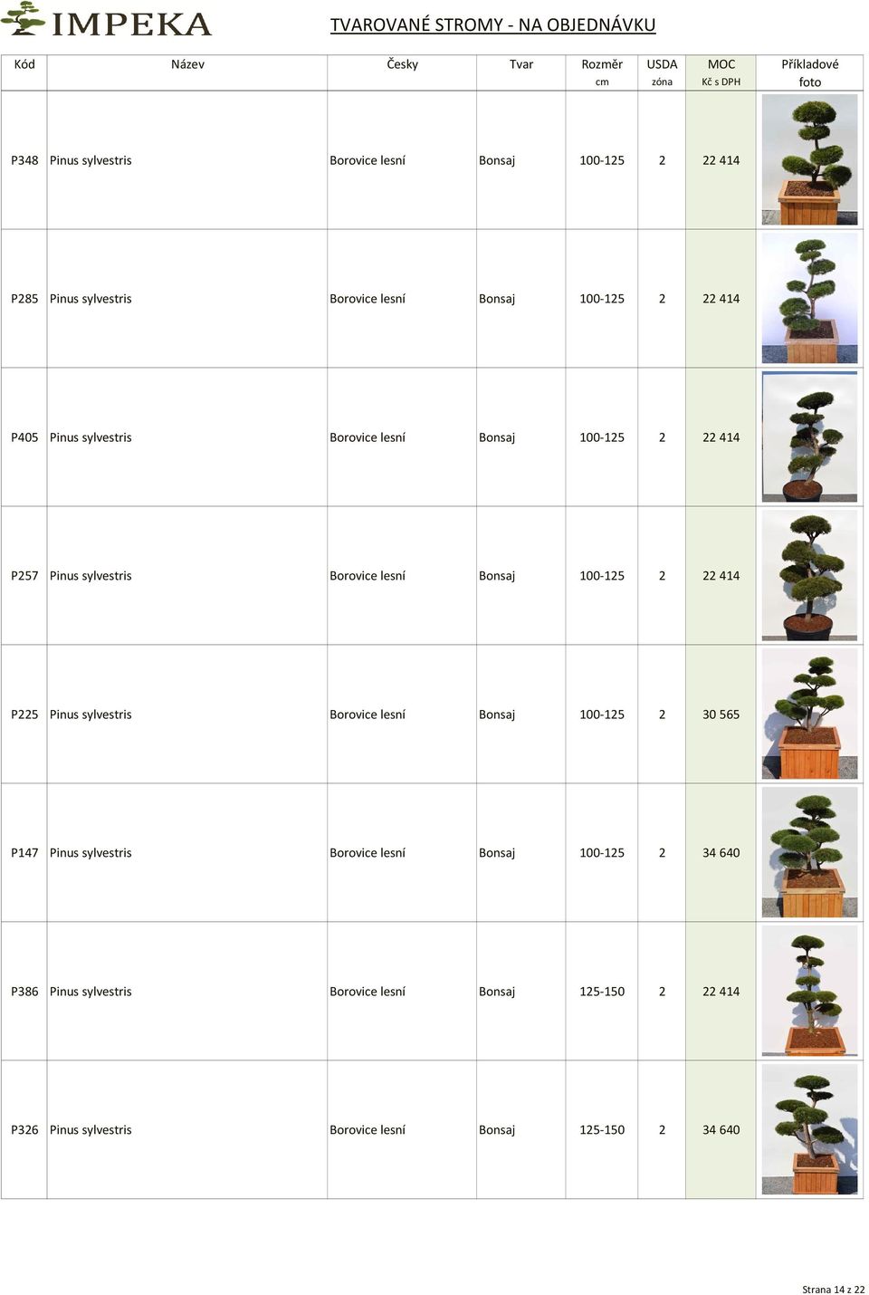P225 Pinus sylvestris Borovice lesní Bonsaj 100-125 2 30 565 P147 Pinus sylvestris Borovice lesní Bonsaj 100-125 2 34 640