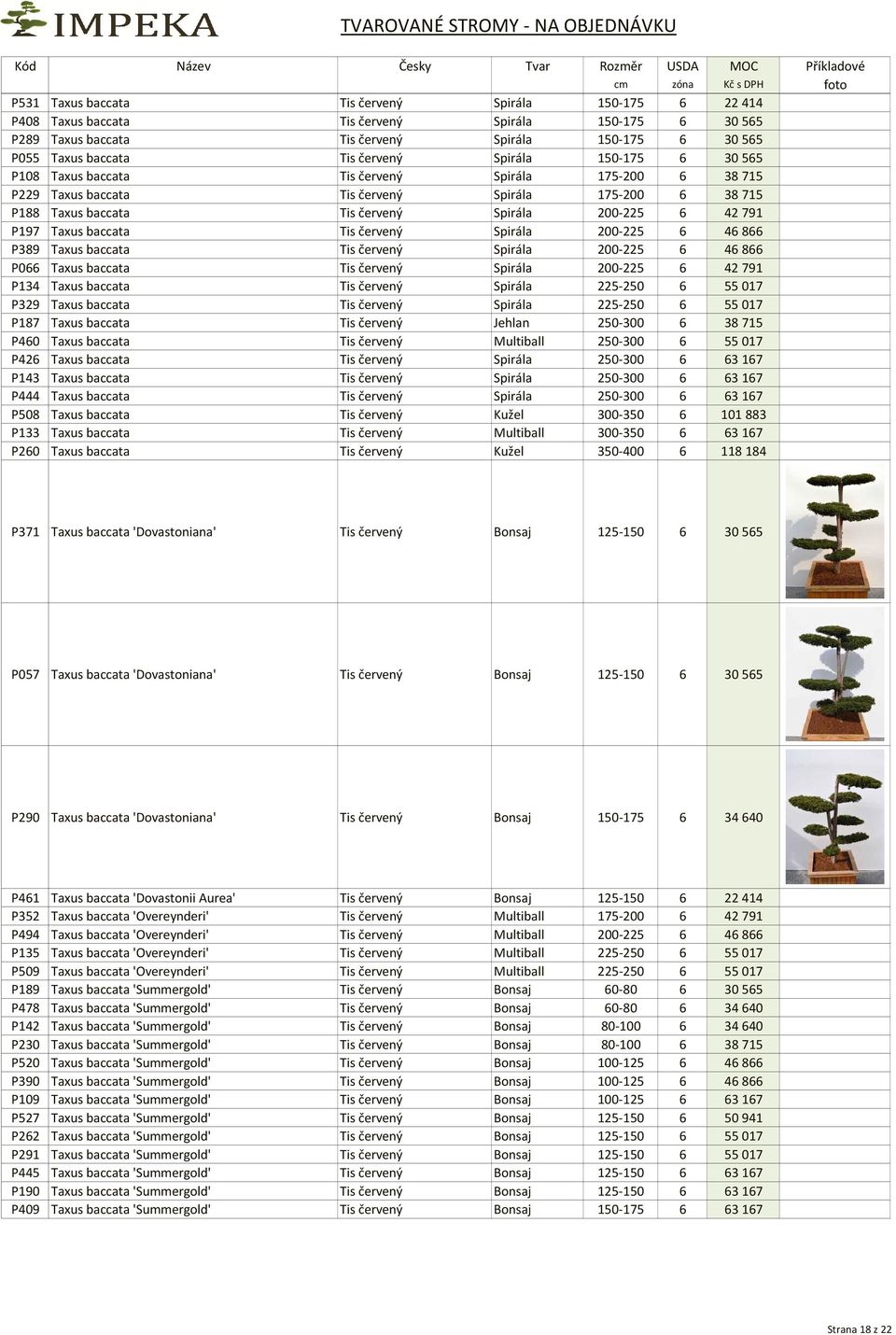 baccata Tis červený Spirála 200-225 6 46866 P389 Taxus baccata Tis červený Spirála 200-225 6 46866 P066 Taxus baccata Tis červený Spirála 200-225 6 42791 P134 Taxus baccata Tis červený Spirála