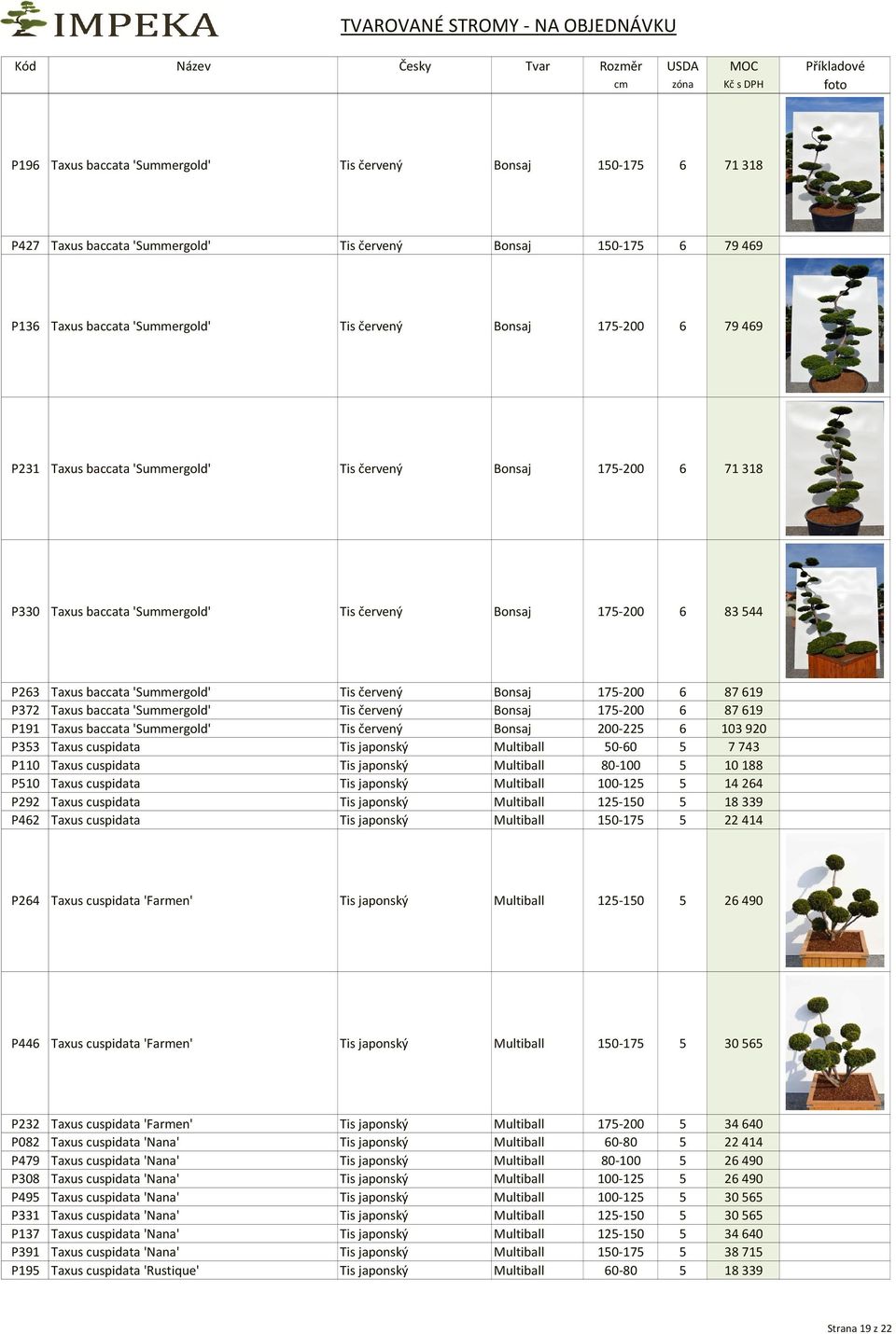6 87619 P372 Taxus baccata 'Summergold' Tis červený Bonsaj 175-200 6 87619 P191 Taxus baccata 'Summergold' Tis červený Bonsaj 200-225 6 103920 P353 Taxus cuspidata Tis japonský Multiball 50-60 5 7743