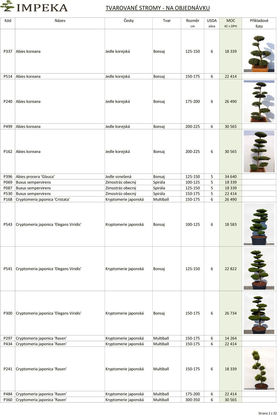 Spirála 100-125 5 18339 P087 Buxus sempervirens Zimostráz obecný Spirála 125-150 5 18339 P530 Buxus sempervirens Zimostráz obecný Spirála 150-175 5 22414 P168 Cryptomeria japonica 'Cristata'