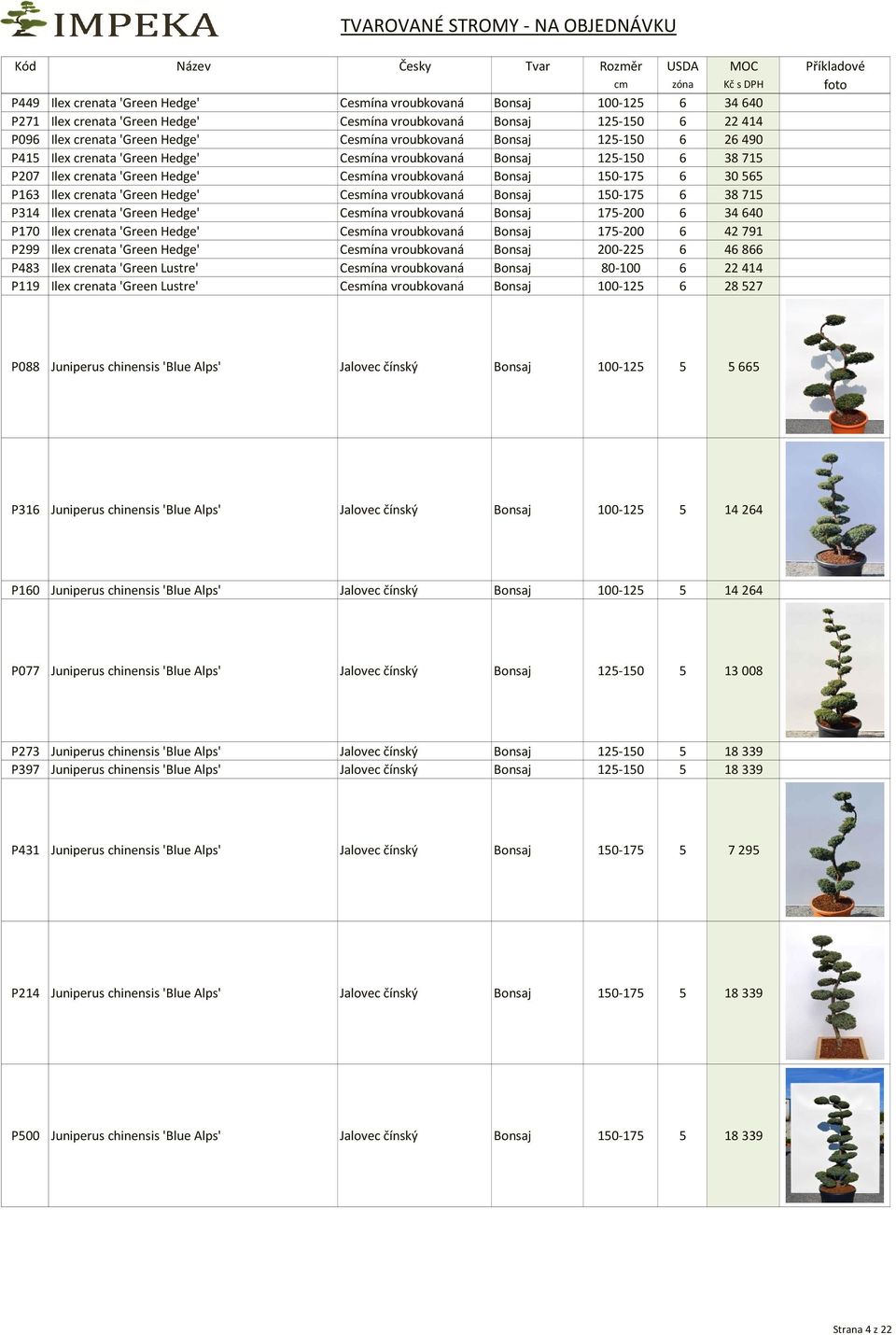 crenata 'Green Hedge' Cesmína vroubkovaná Bonsaj 150-175 6 38715 P314 Ilex crenata 'Green Hedge' Cesmína vroubkovaná Bonsaj 175-200 6 34640 P170 Ilex crenata 'Green Hedge' Cesmína vroubkovaná Bonsaj