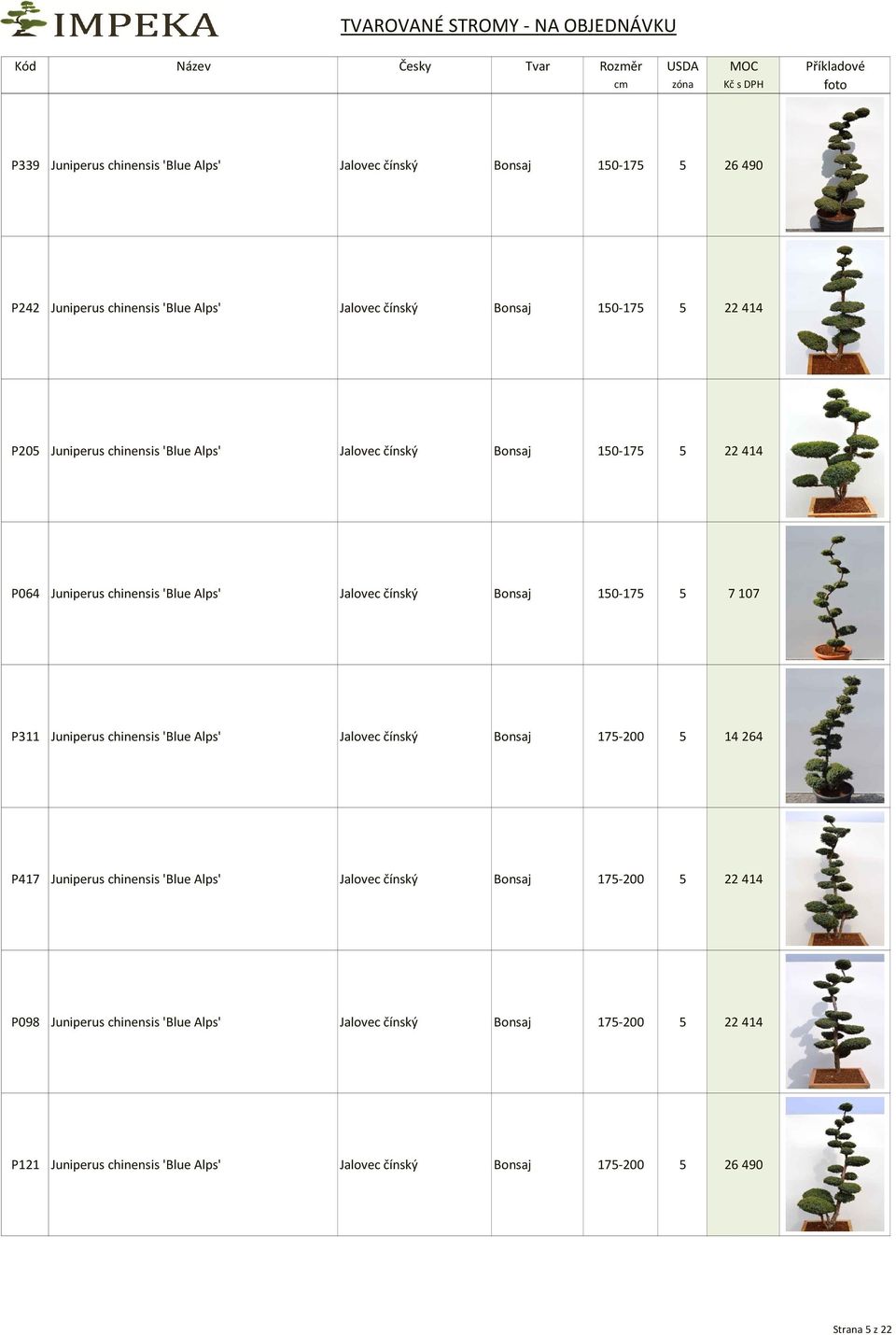 P311 Juniperus chinensis 'Blue Alps' Jalovec čínský Bonsaj 175-200 5 14 264 P417 Juniperus chinensis 'Blue Alps' Jalovec čínský Bonsaj 175-200 5 22 414