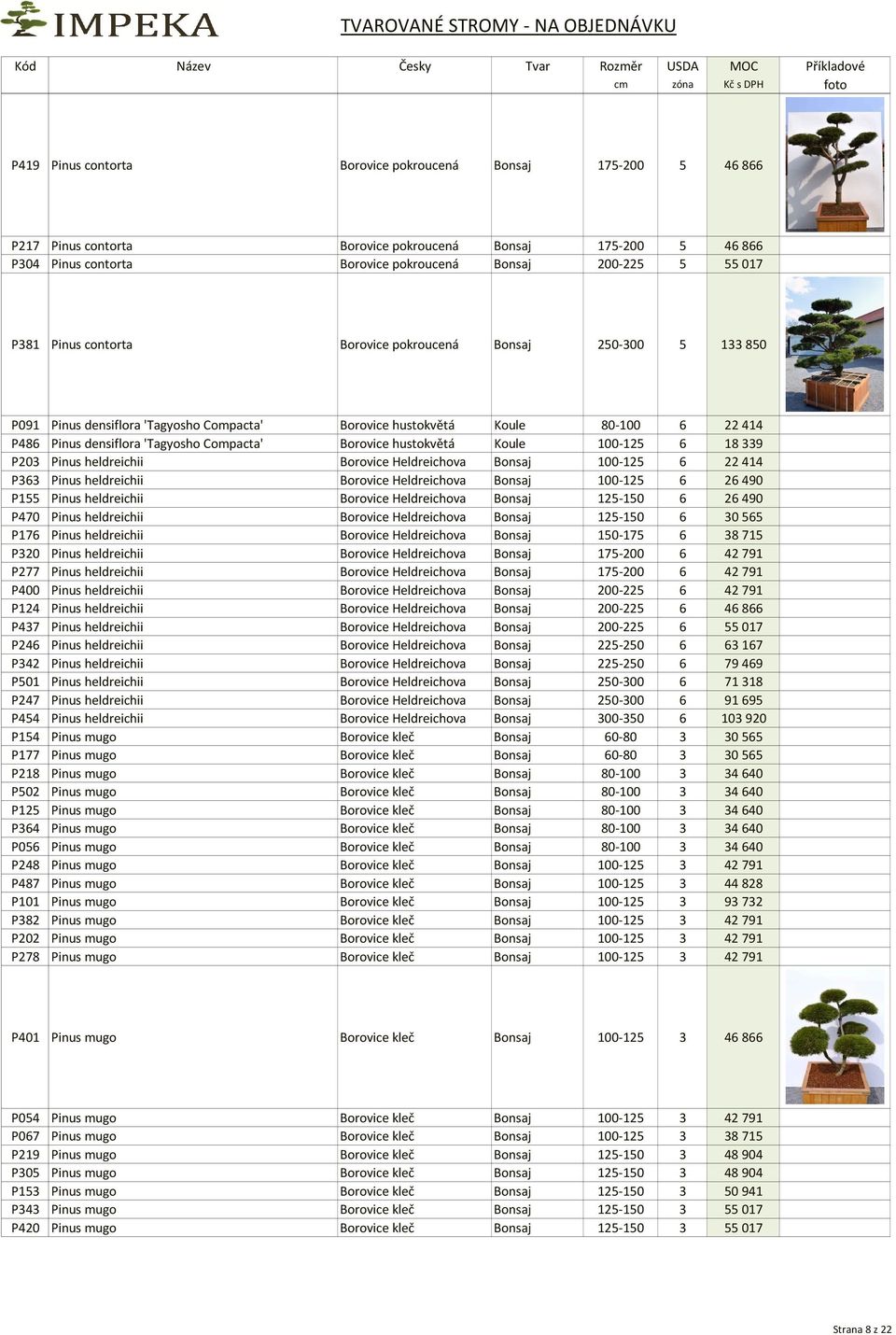 hustokvětá Koule 100-125 6 18339 P203 Pinus heldreichii Borovice Heldreichova Bonsaj 100-125 6 22414 P363 Pinus heldreichii Borovice Heldreichova Bonsaj 100-125 6 26490 P155 Pinus heldreichii