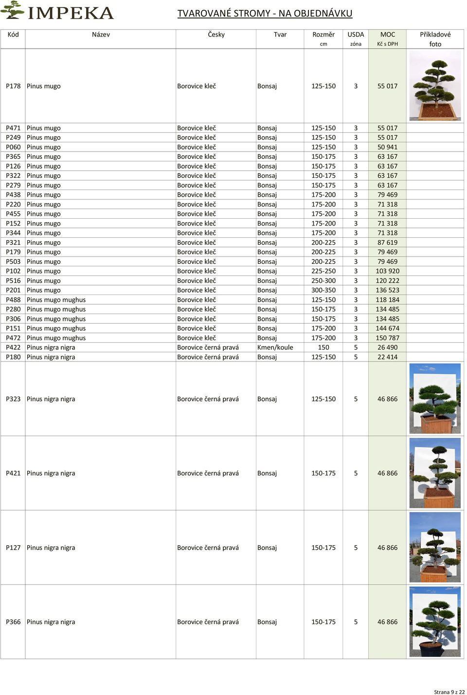kleč Bonsaj 150-175 3 63167 P438 Pinus mugo Borovice kleč Bonsaj 175-200 3 79469 P220 Pinus mugo Borovice kleč Bonsaj 175-200 3 71318 P455 Pinus mugo Borovice kleč Bonsaj 175-200 3 71318 P152 Pinus