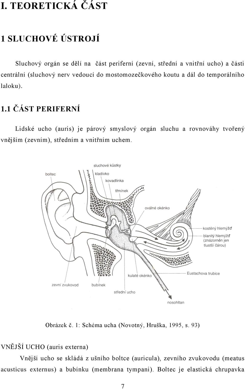 1 ČÁST PERIFERNÍ Lidské ucho (auris) je párový smyslový orgán sluchu a rovnováhy tvořený vnějším (zevním), středním a vnitřním uchem. Obrázek č.