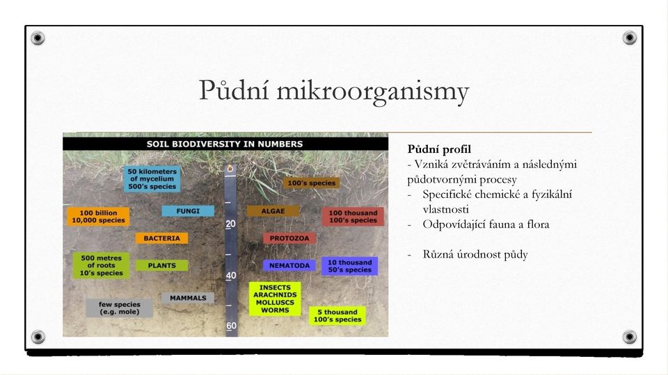 - Specifické chemické a fyzikální vlastnosti