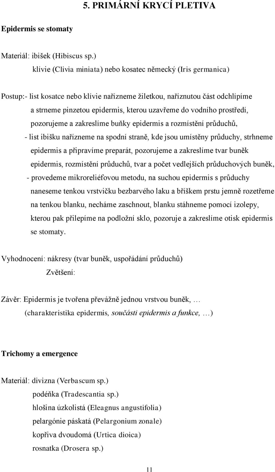 vodního prostředí, pozorujeme a zakreslíme buňky epidermis a rozmístění průduchů, - list ibišku nařízneme na spodní straně, kde jsou umístěny průduchy, strhneme epidermis a připravíme preparát,