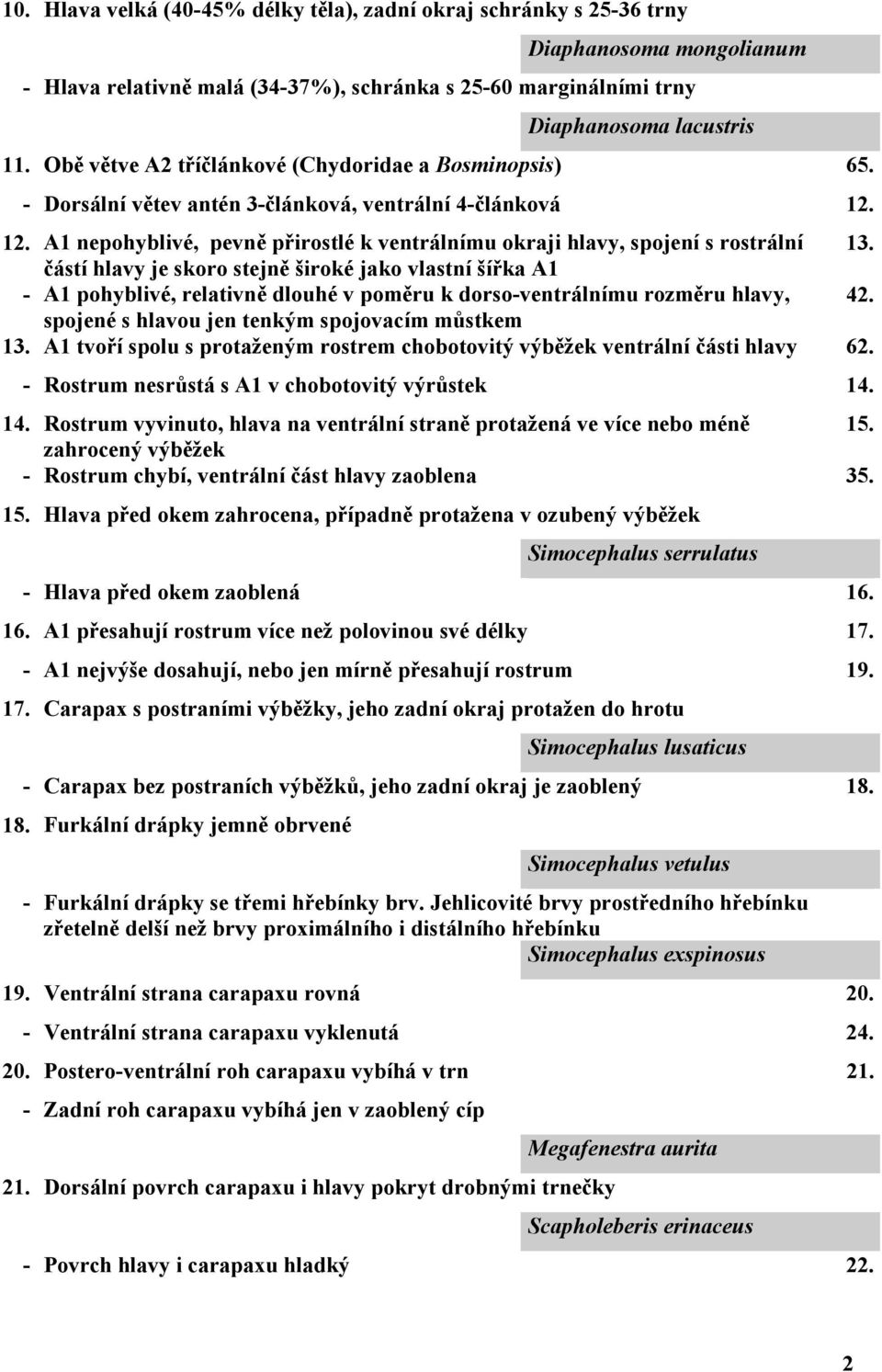 částí hlavy je skoro stejně široké jako vlastní šířka A1 - A1 pohyblivé, relativně dlouhé v poměru k dorso-ventrálnímu rozměru hlavy, 42. spojené s hlavou jen tenkým spojovacím můstkem 13.