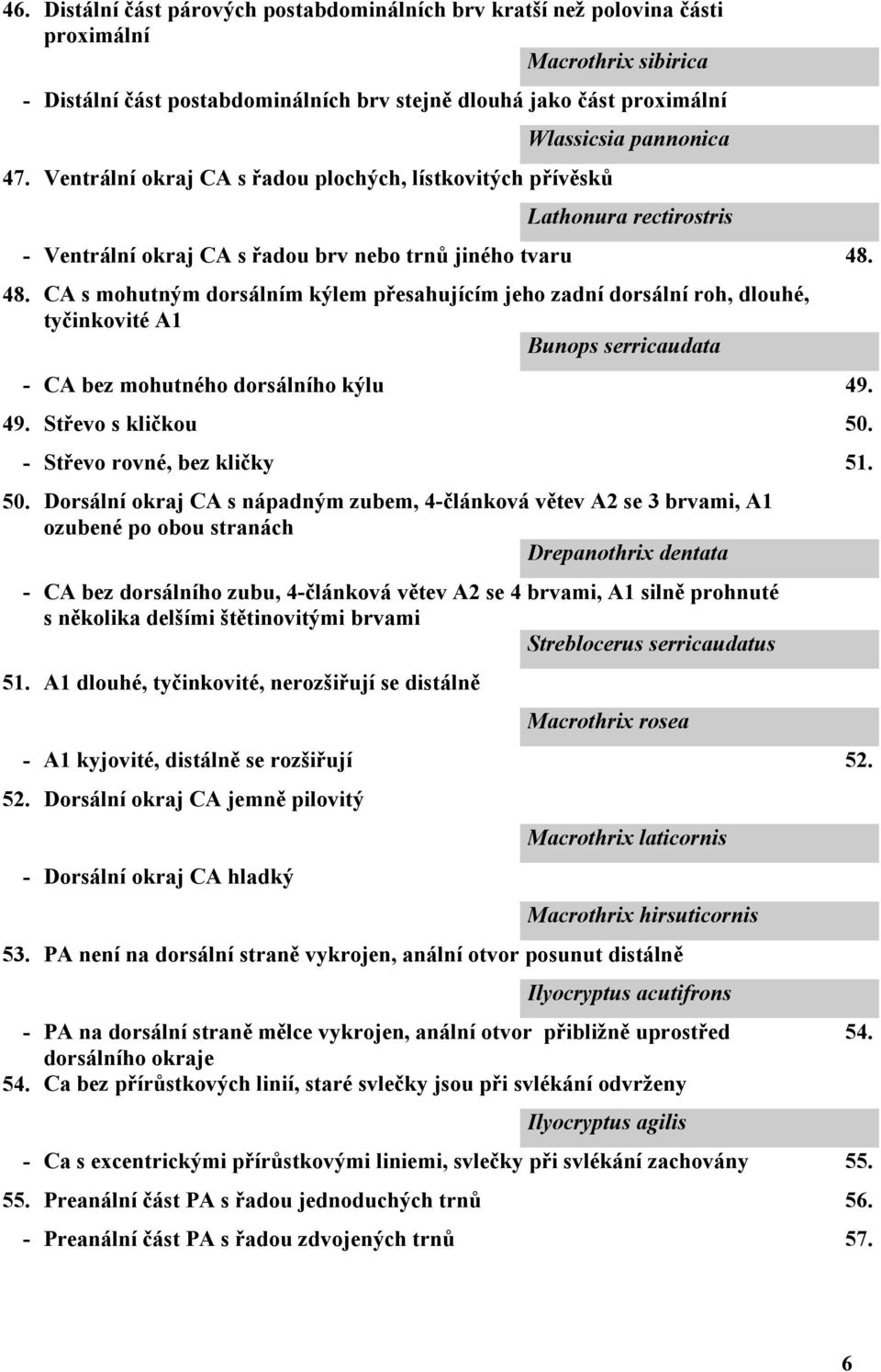 48. CA s mohutným dorsálním kýlem přesahujícím jeho zadní dorsální roh, dlouhé, tyčinkovité A1 Bunops serricaudata - CA bez mohutného dorsálního kýlu 49. 49. Střevo s kličkou 50.