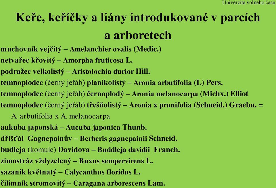 ) Elliot temnoplodec (černý jeřáb) třešňolistý Aronia x prunifolia (Schneid.) Graebn. = A. arbutifolia x A. melanocarpa aukuba japonská Aucuba japonica Thunb.