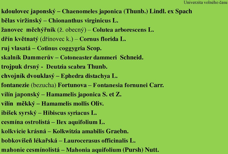 fontanezie (bezucha) Fortunova Fontanesia fornunei Carr. vilín japonský Hamamelis japonica S. et Z. vilín měkký Hamamelis mollis Oliv. ibišek syrský Hibiscus syriacus L.