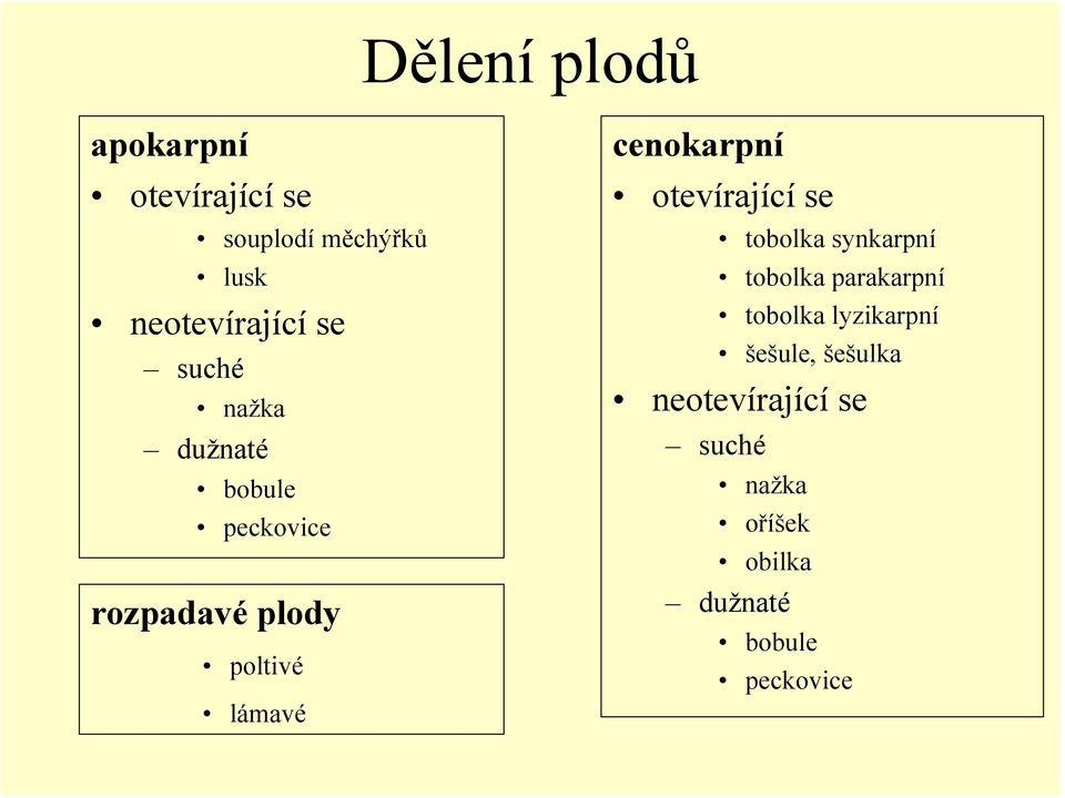 cenokarpní otevírající se tobolka synkarpní tobolka parakarpní tobolka