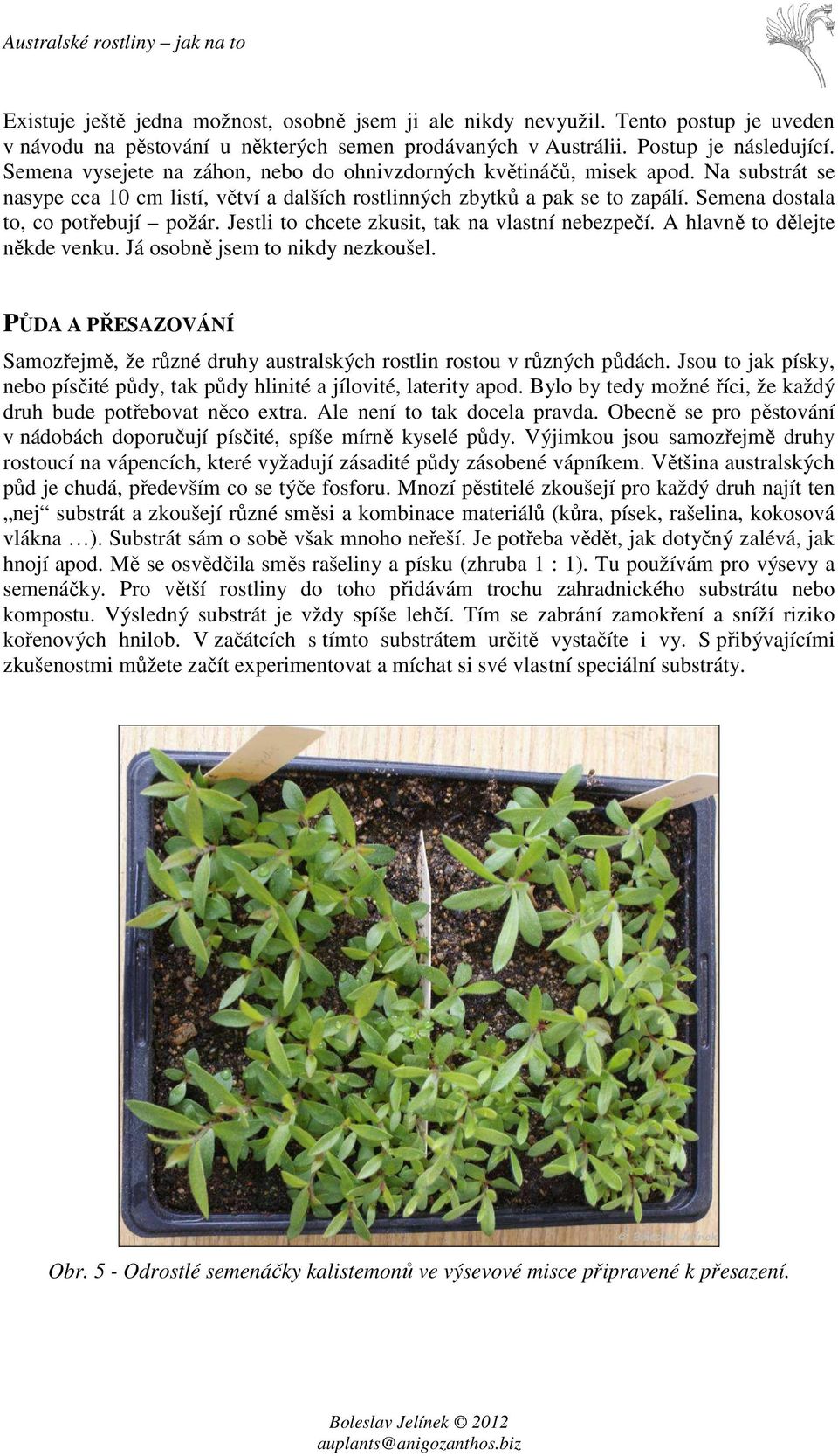 Semena dostala to, co potřebují požár. Jestli to chcete zkusit, tak na vlastní nebezpečí. A hlavně to dělejte někde venku. Já osobně jsem to nikdy nezkoušel.