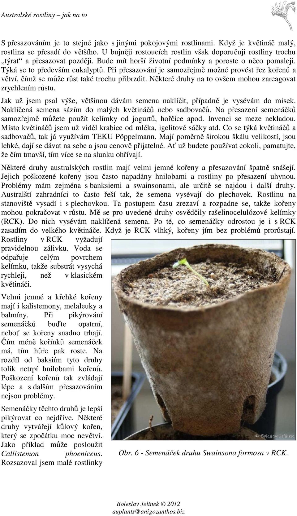 Při přesazování je samozřejmě možné provést řez kořenů a větví, čímž se může růst také trochu přibrzdit. Některé druhy na to ovšem mohou zareagovat zrychlením růstu.