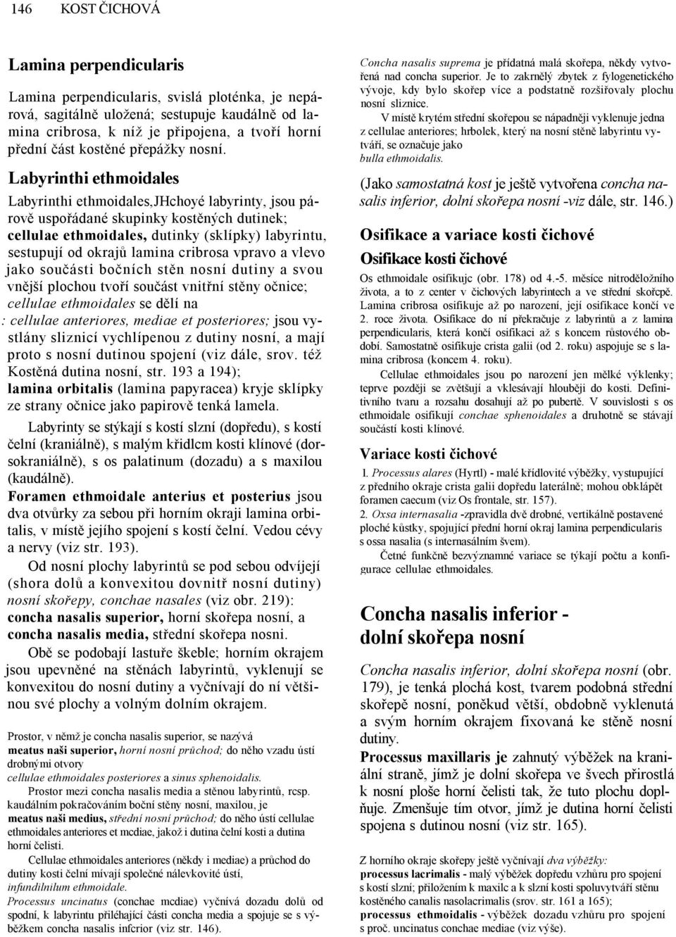 Labyrinthi ethmoidales Labyrinthi ethmoidales,jhchoyé labyrinty, jsou párově uspořádané skupinky kostěných dutinek; cellulae ethmoidales, dutinky (sklípky) labyrintu, sestupují od okrajů lamina