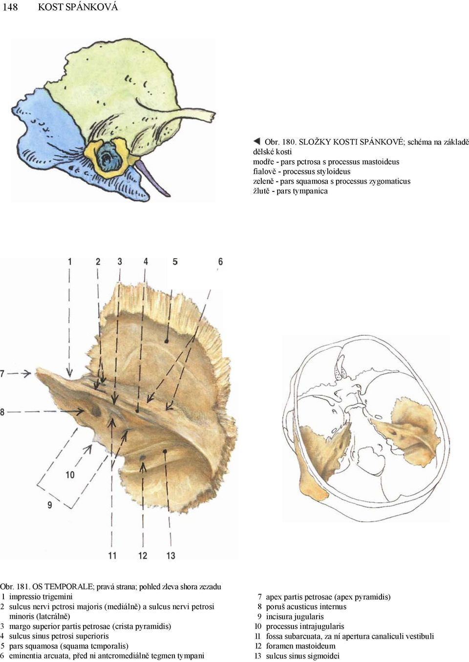 Obr. 181.