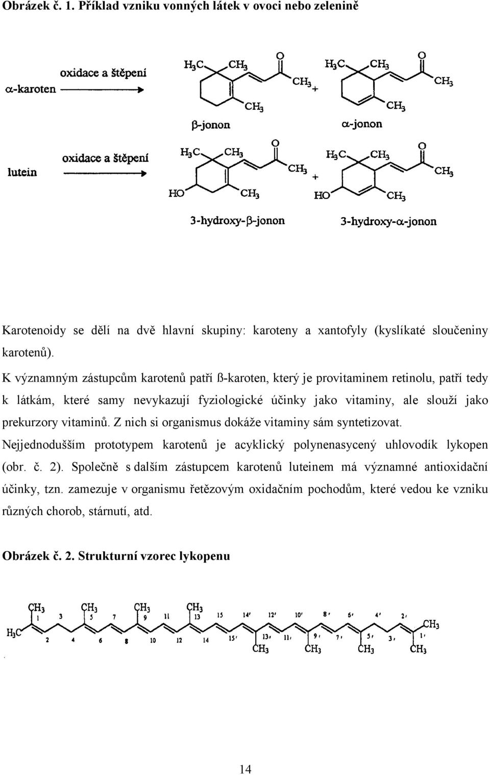 vitaminů. Z nich si organismus dokáže vitaminy sám syntetizovat. Nejjednodušším prototypem karotenů je acyklický polynenasycený uhlovodík lykopen (obr. č. 2).