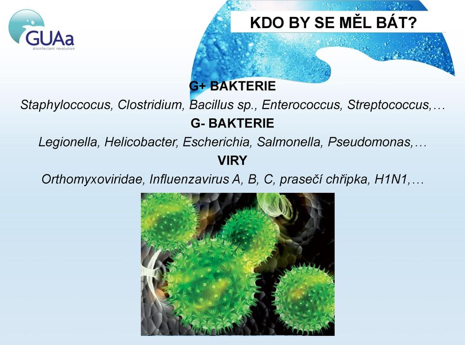 , Enterococcus, Streptococcus, G- BAKTERIE Legionella,