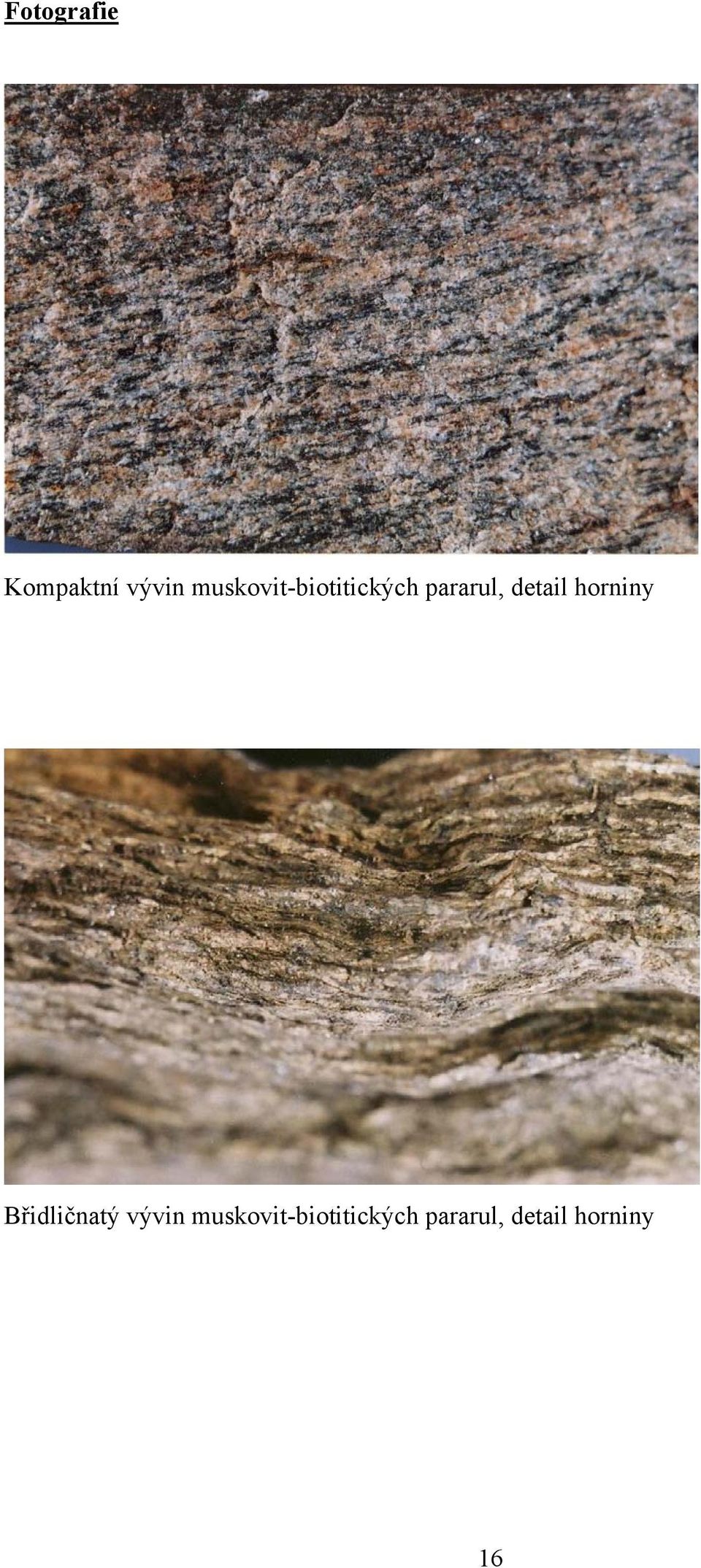 detail horniny Břidličnatý vývin 