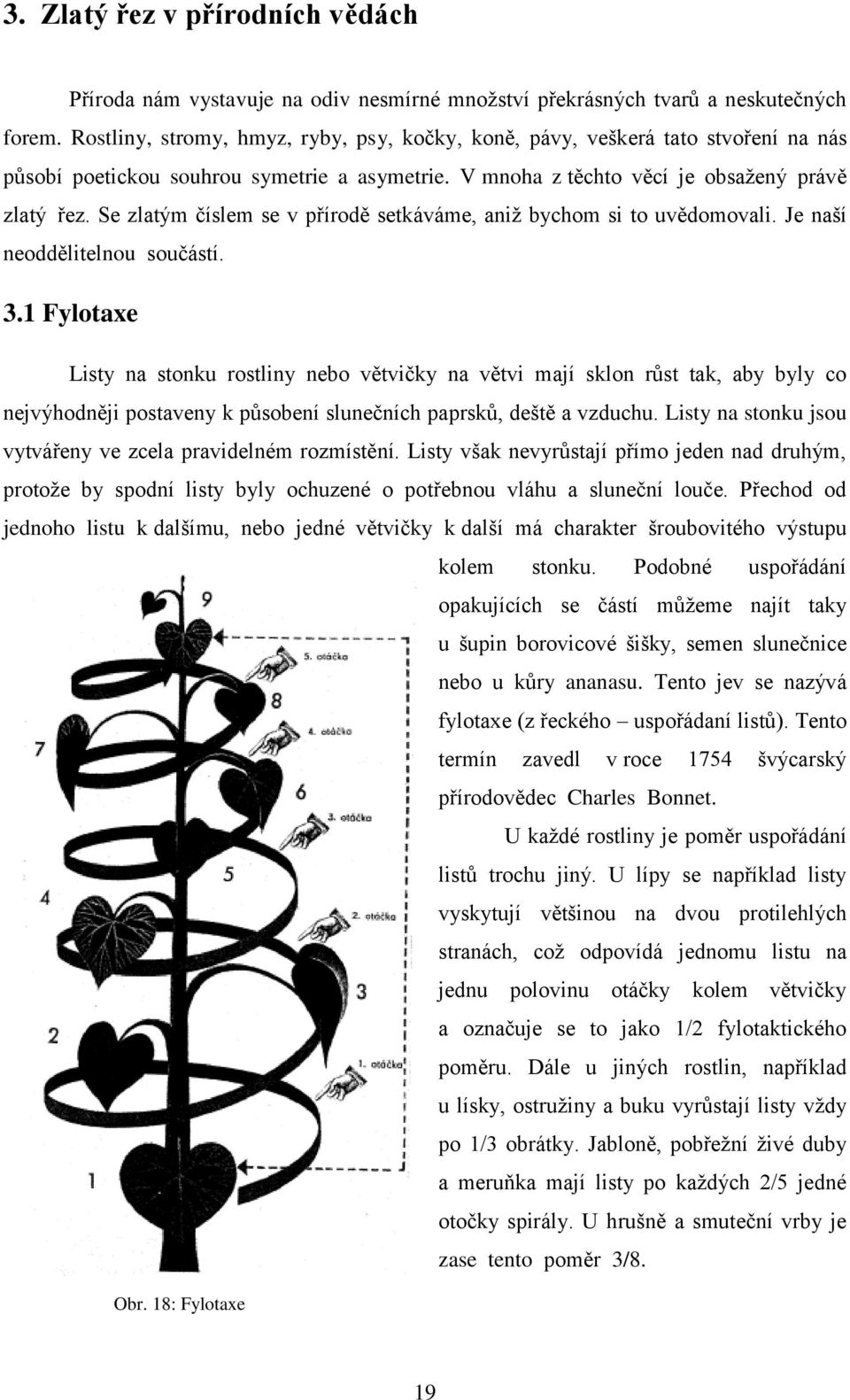 Se zlatým číslem se v přírodě setkáváme, aniž bychom si to uvědomovali. Je naší neoddělitelnou součástí. 3.