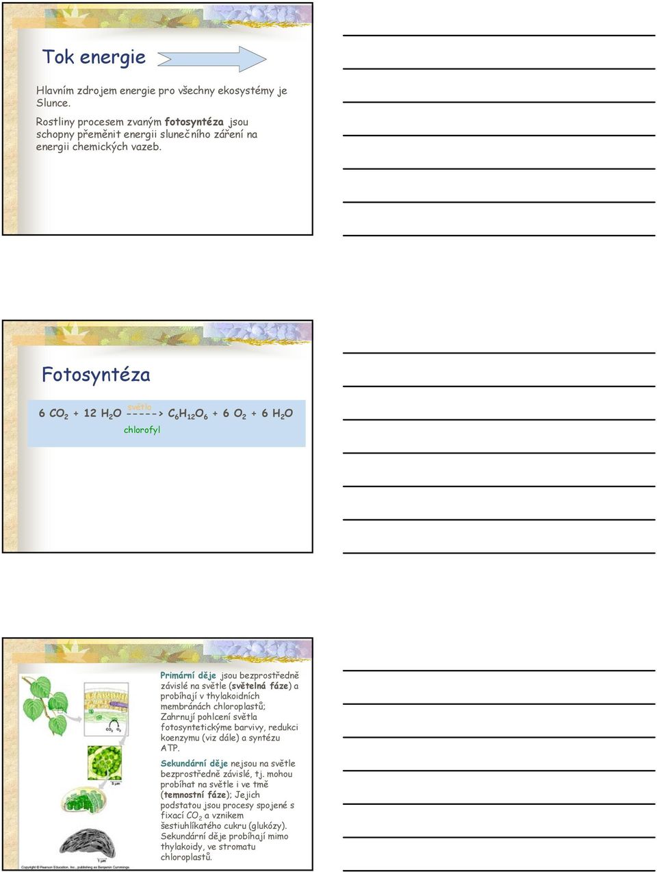 membránách chloroplastů; Zahrnují pohlcení světla fotosyntetickýme barvivy, redukci koenzymu (viz dále) a syntézu ATP. Sekundární děje nejsou na světle bezprostředně závislé, tj.