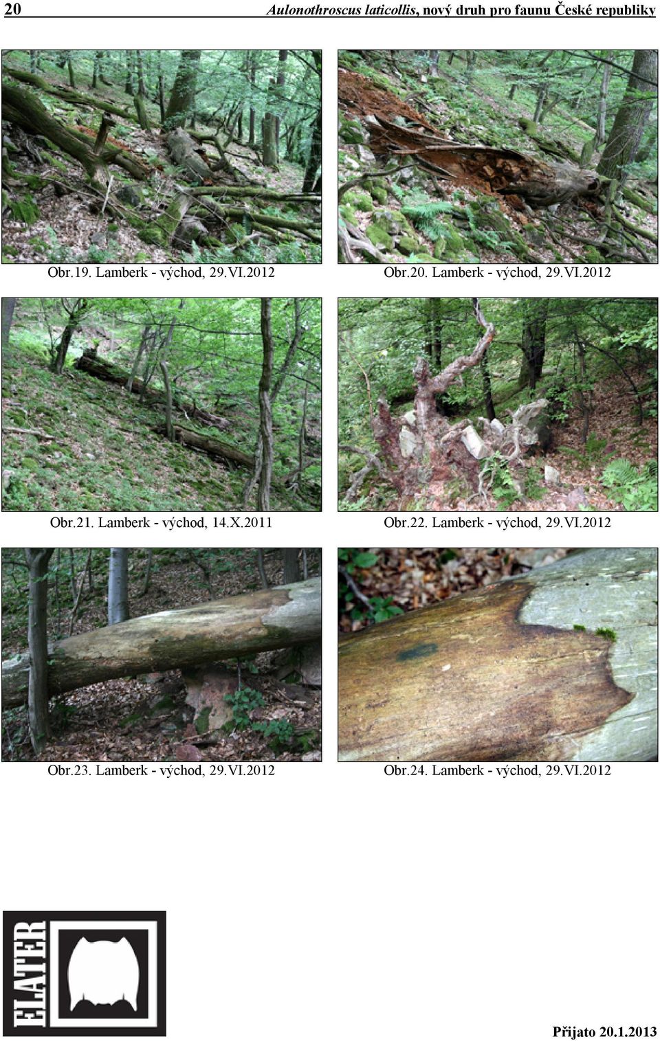 Lamberk - východ, 14.X.2011 Obr.22. Lamberk - východ, 29.VI.2012 Obr.23.