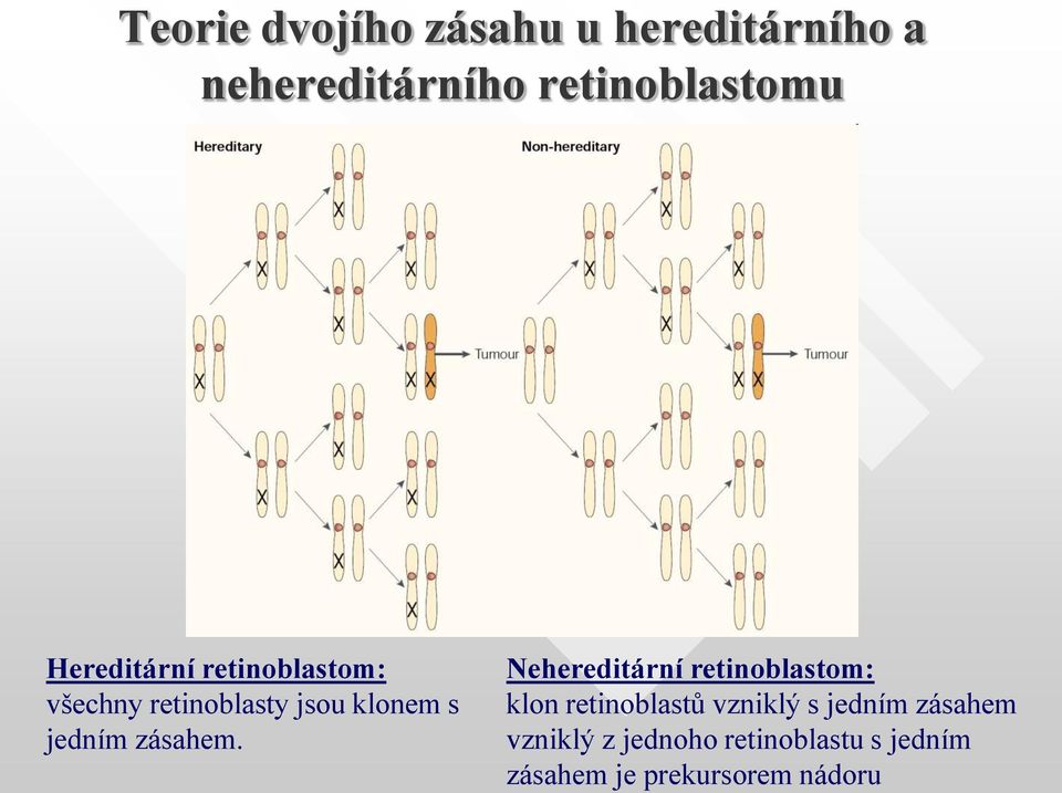 zásahem.